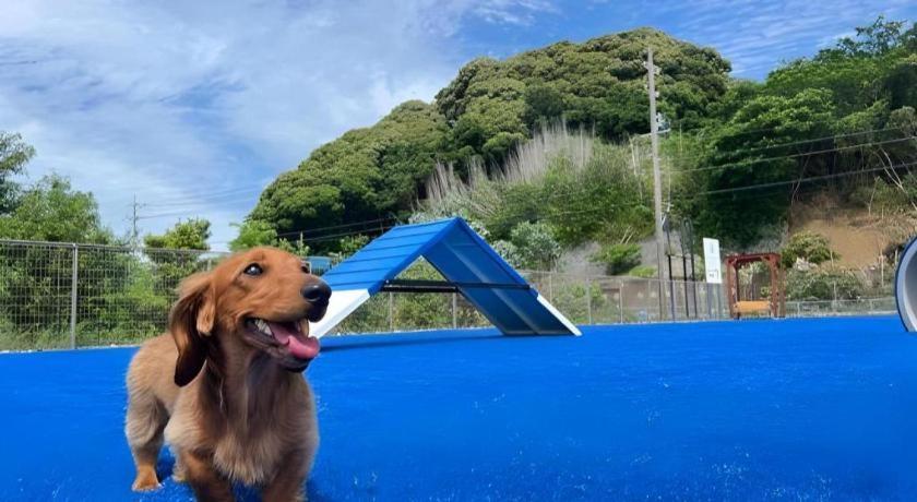 Izumigo Lake Hamanako Dog Paradise Hotel Χαμαμάτσου Εξωτερικό φωτογραφία